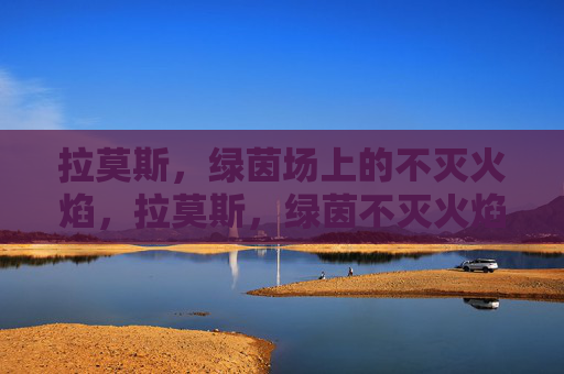 拉莫斯，绿茵场上的不灭火焰，拉莫斯，绿茵不灭火焰