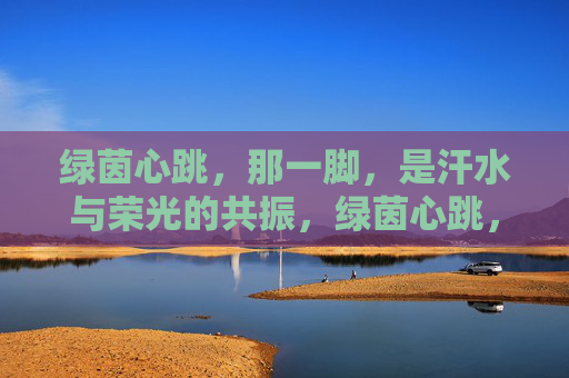 绿茵心跳,那一脚,是汗水与荣光的共振,绿茵心跳,汗水与荣光的共振 绿茵心跳,那一脚,是汗水与荣光的共振,绿茵心跳,汗水与荣光的共振