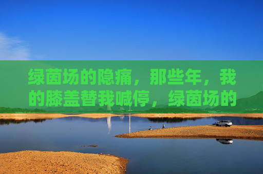 绿茵场的隐痛,那些年,我的膝盖替我喊停,绿茵场的隐痛,那些年,膝盖替我喊停 绿茵场的隐痛,那些年,我的膝盖替我喊停,绿茵场的隐痛,那些年,膝盖替我喊停