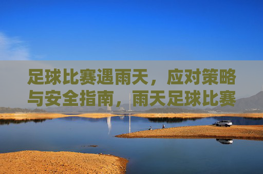 足球比赛遇雨天,应对策略与安全指南,雨天足球比赛应对策略与安全指南 足球比赛遇雨天,应对策略与安全指南,雨天足球比赛应对策略与安全指南