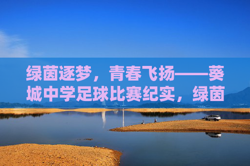 绿茵逐梦,青春飞扬——葵城中学足球比赛纪实,绿茵逐梦,青春飞扬——葵城中学足球赛 绿茵逐梦,青春飞扬——葵城中学足球比赛纪实,绿茵逐梦,青春飞扬——葵城中学足球赛