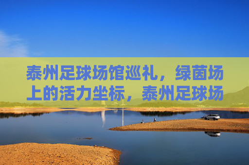 泰州足球场馆巡礼,绿茵场上的活力坐标,泰州足球场馆,绿茵活力坐标 泰州足球场馆巡礼,绿茵场上的活力坐标,泰州足球场馆,绿茵活力坐标