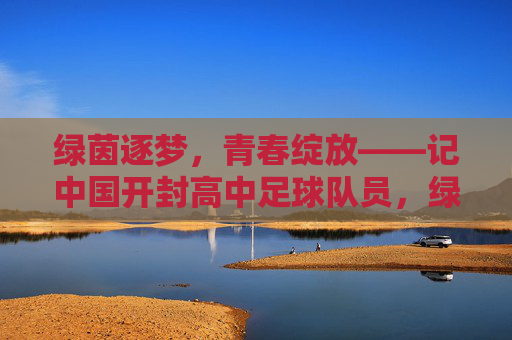 绿茵逐梦，青春绽放——记中国开封高中足球队员，绿茵逐梦，青春绽放——开封高中足球队员