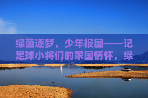 绿茵逐梦,少年报国——记足球小将们的家国情怀,绿茵逐梦少年志,报国情怀足球心 绿茵逐梦,少年报国——记足球小将们的家国情怀,绿茵逐梦少年志,报国情怀足球心
