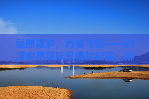 绿茵逐梦,青春飞扬——柳城中学足球宣传片纪实,柳城中学绿茵逐梦,青春飞扬 绿茵逐梦,青春飞扬——柳城中学足球宣传片纪实,柳城中学绿茵逐梦,青春飞扬