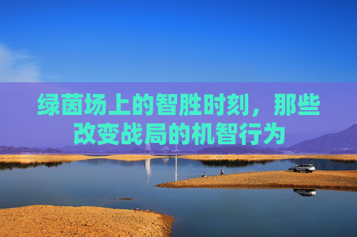 绿茵场上的智胜时刻,那些改变战局的机智行为 绿茵场上的智胜时刻,那些改变战局的机智行为