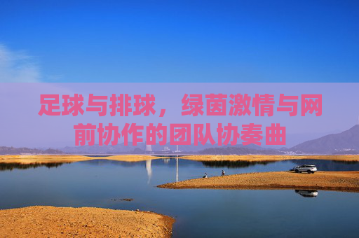 足球与排球,绿茵激情与网前协作的团队协奏曲 足球与排球,绿茵激情与网前协作的团队协奏曲