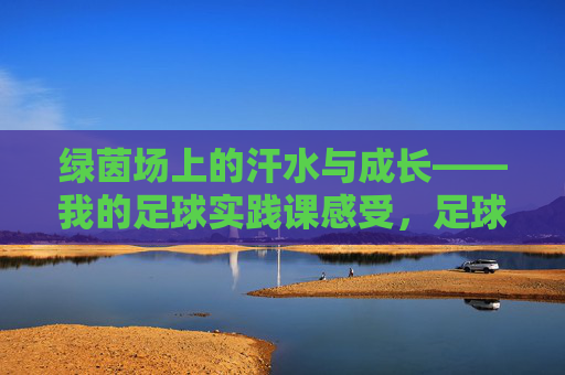 绿茵场上的汗水与成长——我的足球实践课感受,足球实践课,绿茵场上的汗水与成长 绿茵场上的汗水与成长——我的足球实践课感受,足球实践课,绿茵场上的汗水与成长