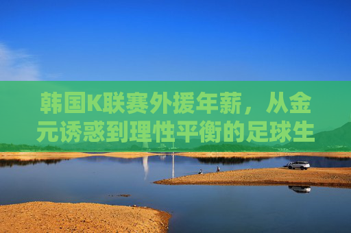 韩国K联赛外援年薪,从金元诱惑到理性平衡的足球生态 韩国K联赛外援年薪,从金元诱惑到理性平衡的足球生态