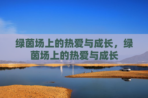 绿茵场上的热爱与成长，绿茵场上的热爱与成长