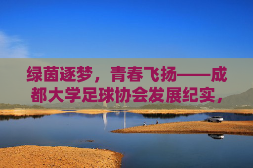 绿茵逐梦，青春飞扬——成都大学足球协会发展纪实，绿茵逐梦，青春飞扬——成都大学足球协会发展纪实