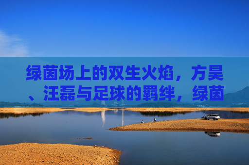 绿茵场上的双生火焰,方昊、汪磊与足球的羁绊,绿茵双生焰,方昊、汪磊的足球羁绊 绿茵场上的双生火焰,方昊、汪磊与足球的羁绊,绿茵双生焰,方昊、汪磊的足球羁绊