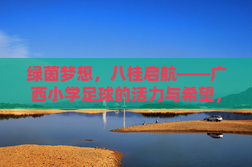 绿茵梦想,八桂启航——广西小学足球的活力与希望,绿茵梦想启航八桂,活力希望小学足球 绿茵梦想,八桂启航——广西小学足球的活力与希望,绿茵梦想启航八桂,活力希望小学足球