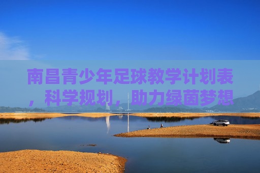 南昌青少年足球教学计划表，科学规划，助力绿茵梦想成长，南昌青少年足球教学计划表，科学规划助力绿茵梦想成长