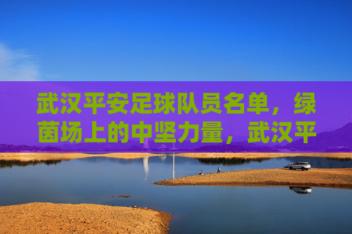 武汉平安足球队员名单，绿茵场上的中坚力量，武汉平安足球队员名单，绿茵场上的中坚力量