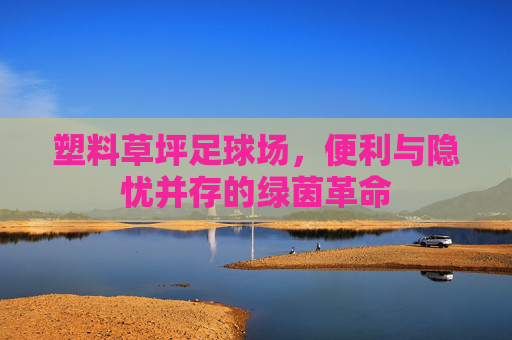 塑料草坪足球场,便利与隐忧并存的绿茵革命 塑料草坪足球场,便利与隐忧并存的绿茵革命