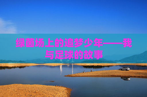 绿茵场上的追梦少年——我与足球的故事 绿茵场上的追梦少年——我与足球的故事
