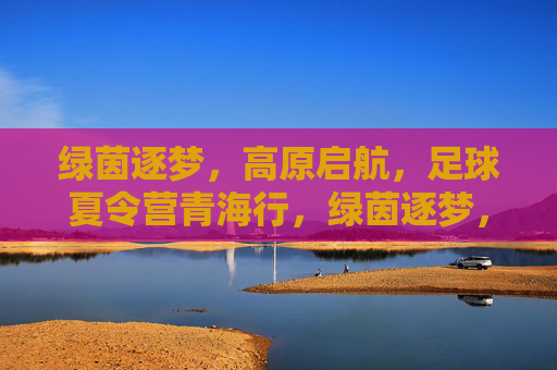 绿茵逐梦,高原启航,足球夏令营青海行,绿茵逐梦,高原启航,足球夏令营青海行 绿茵逐梦,高原启航,足球夏令营青海行,绿茵逐梦,高原启航,足球夏令营青海行