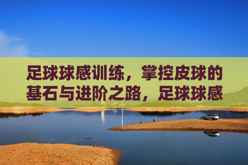足球球感训练,掌控皮球的基石与进阶之路,足球球感训练,从基石到进阶的掌控之路 足球球感训练,掌控皮球的基石与进阶之路,足球球感训练,从基石到进阶的掌控之路