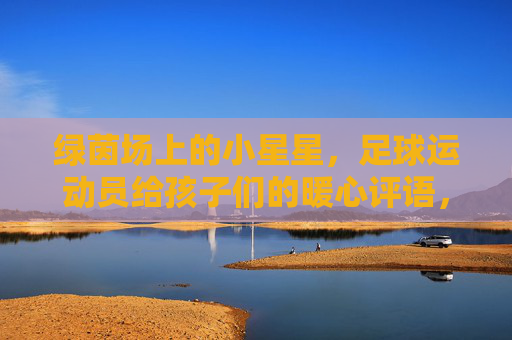 绿茵场上的小星星,足球运动员给孩子们的暖心评语,绿茵小星星,球员暖心评语 绿茵场上的小星星,足球运动员给孩子们的暖心评语,绿茵小星星,球员暖心评语