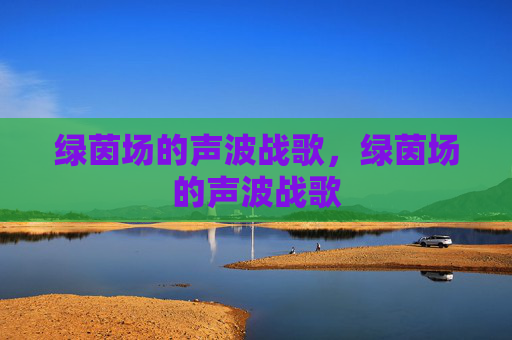 绿茵场的声波战歌,绿茵场的声波战歌 绿茵场的声波战歌,绿茵场的声波战歌