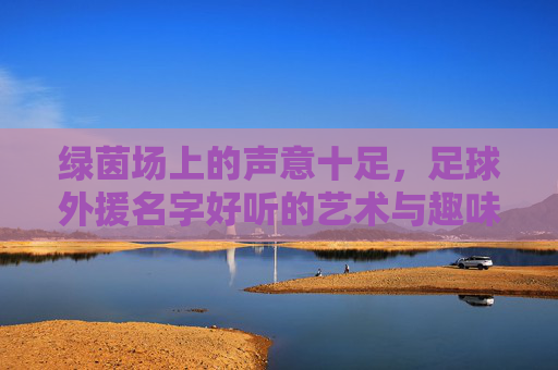 绿茵场上的声意十足,足球外援名字好听的艺术与趣味,足球外援名,绿茵场上的声意与艺术趣味 绿茵场上的声意十足,足球外援名字好听的艺术与趣味,足球外援名,绿茵场上的声意与艺术趣味