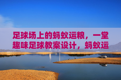 足球场上的蚂蚁运粮，一堂趣味足球教案设计，蚂蚁运粮，趣味足球教案设计