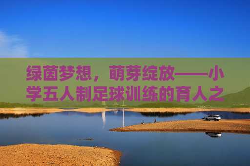 绿茵梦想,萌芽绽放——小学五人制足球训练的育人之旅,绿茵育新苗,小学五人制足球的育人之旅 绿茵梦想,萌芽绽放——小学五人制足球训练的育人之旅,绿茵育新苗,小学五人制足球的育人之旅
