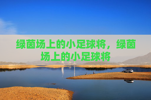绿茵场上的小足球将，绿茵场上的小足球将
