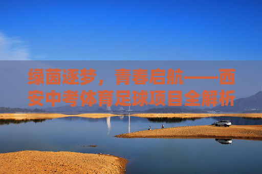 绿茵逐梦，青春启航——西安中考体育足球项目全解析，绿茵逐梦，青春启航，西安中考体育足球项目全解析