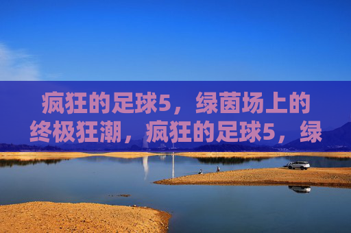 疯狂的足球5，绿茵场上的终极狂潮，疯狂的足球5，绿茵场终极狂潮