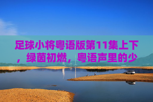 足球小将粤语版第11集上下,绿茵初燃,粤语声里的少年热血 足球小将粤语版第11集上下,绿茵初燃,粤语声里的少年热血
