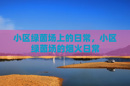 小区绿茵场上的日常,小区绿茵场的烟火日常 小区绿茵场上的日常,小区绿茵场的烟火日常