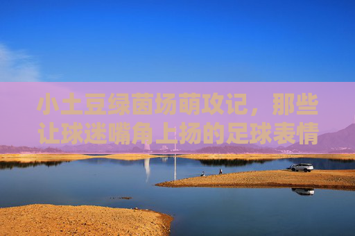 小土豆绿茵场萌攻记，那些让球迷嘴角上扬的足球表情包，小土豆绿茵萌攻记，球迷微笑的足球表情包