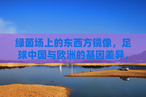 绿茵场上的东西方镜像,足球中国与欧洲的基因差异,绿茵镜像,中欧足球的基因差异 绿茵场上的东西方镜像,足球中国与欧洲的基因差异,绿茵镜像,中欧足球的基因差异