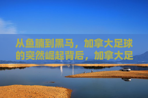 从鱼腩到黑马,加拿大足球的突然崛起背后,加拿大足球,从鱼腩到黑马的崛起密码 从鱼腩到黑马,加拿大足球的突然崛起背后,加拿大足球,从鱼腩到黑马的崛起密码