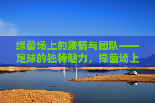 绿茵场上的激情与团队——足球的独特魅力，绿茵场上的激情与团队，足球的独特魅力