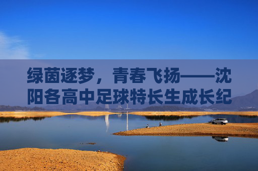 绿茵逐梦，青春飞扬——沈阳各高中足球特长生成长纪实，绿茵逐梦，青春飞扬——沈阳高中足球特长生成长纪实