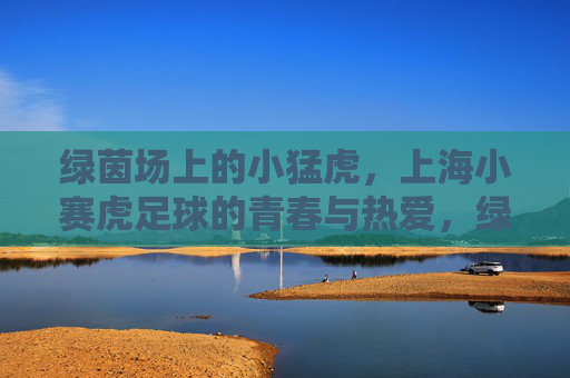绿茵场上的小猛虎,上海小赛虎足球的青春与热爱,绿茵小猛虎,上海小赛虎足球的青春与热爱 绿茵场上的小猛虎,上海小赛虎足球的青春与热爱,绿茵小猛虎,上海小赛虎足球的青春与热爱