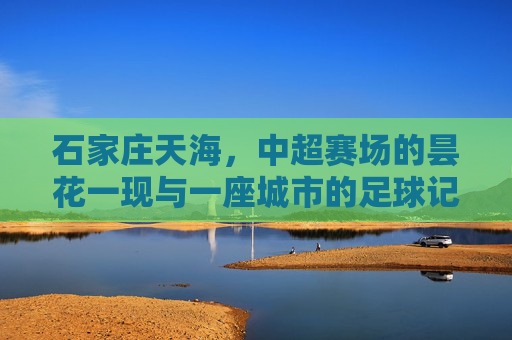石家庄天海，中超赛场的昙花一现与一座城市的足球记忆，昙花一现的中超记忆，石家庄天海与一座城