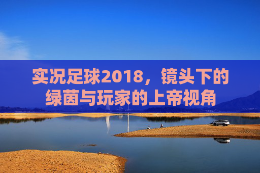 实况足球2018,镜头下的绿茵与玩家的上帝视角 实况足球2018,镜头下的绿茵与玩家的上帝视角