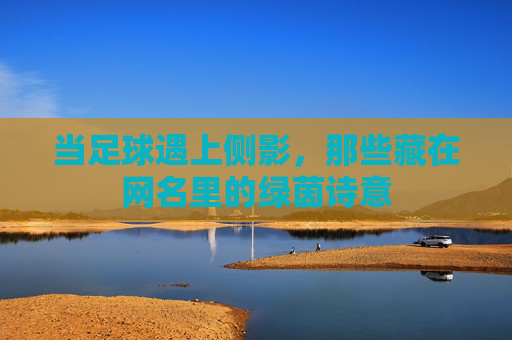 当足球遇上侧影，那些藏在网名里的绿茵诗意