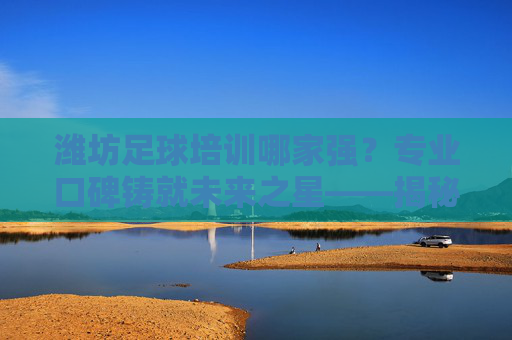 潍坊足球培训哪家强？专业口碑铸就未来之星——揭秘潍坊最好的足球培训，潍坊足球培训哪家强？专业口碑铸就未来之星