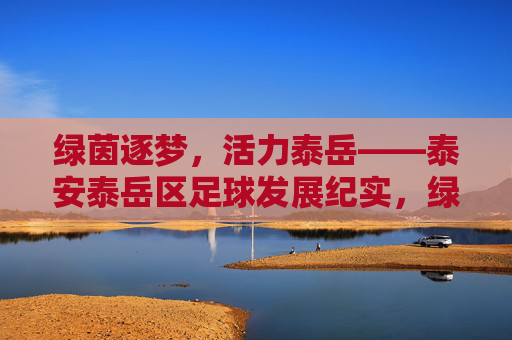 绿茵逐梦,活力泰岳——泰安泰岳区足球发展纪实,绿茵逐梦泰岳,足球发展纪实 绿茵逐梦,活力泰岳——泰安泰岳区足球发展纪实,绿茵逐梦泰岳,足球发展纪实