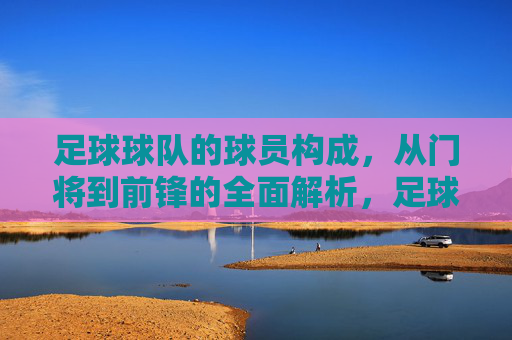 足球球队的球员构成，从门将到前锋的全面解析，足球球队球员构成，从门将到前锋的全面解析