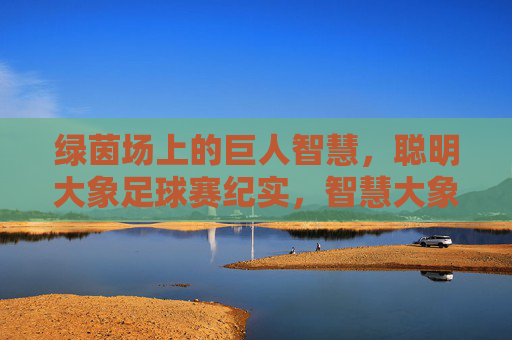 绿茵场上的巨人智慧，聪明大象足球赛纪实，智慧大象绿茵足球赛纪实