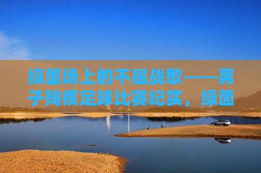 绿茵场上的不屈战歌——男子残疾足球比赛纪实，绿茵场上的不屈战歌——男子残疾足球