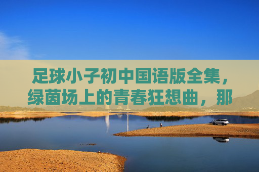 足球小子初中国语版全集,绿茵场上的青春狂想曲,那年夏天我们与足球共燃,足球小子,那年夏天的绿茵青春狂想 足球小子初中国语版全集,绿茵场上的青春狂想曲,那年夏天我们与足球共燃,足球小子,那年夏天的绿茵青春狂想