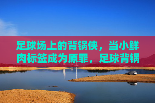 足球场上的背锅侠，当小鲜肉标签成为原罪，足球背锅侠，小鲜肉标签的原罪