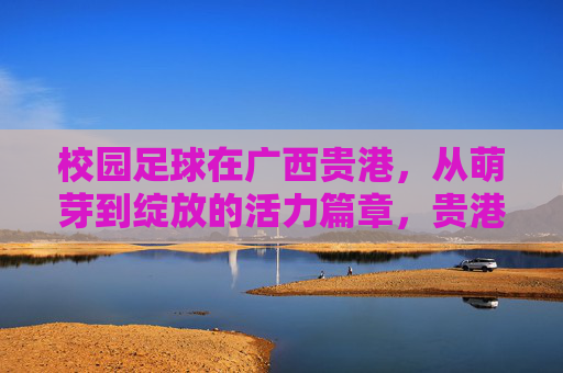 校园足球在广西贵港，从萌芽到绽放的活力篇章，贵港校园足球，萌芽绽放的活力篇章